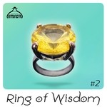 cover: Maroshi Sumo|Nino Garcia|Seldon Thaye|Shisdess|Vincent Routing - Ring Of Wisdom #2