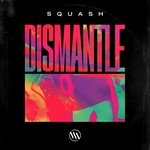 cover: Dismantle - Squash