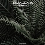 cover: Sam Diamond - Memory