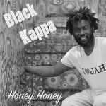 cover: Black Kappa - Honey Honey