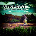 cover: Synergy - City Of Life