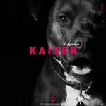 cover: V Aparicio - Kaiser