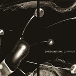 cover: David Sylvian|Various - Camphor