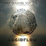 cover: Mrs Robot|Various - Lucid Sounds Vol 24 (A Fine & Deep Sonic Flow Of Club House, Electro, Minimal & Techno) (unmixed Tracks)