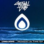 cover: Critycal Dub - Moment In Time EP