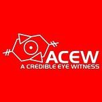 cover: A Credible Eye Witness - Sonic Wall