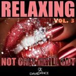 cover: Various - Relaxing Vol 3 (Not Only Chill Out)