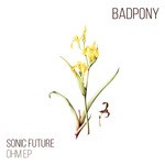 cover: Sonic Future - Ohm