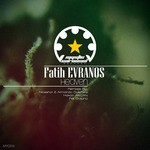 cover: Fatih Evranos - Heaven