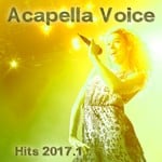 cover: Various - Acapella Voice Hits 2017.1