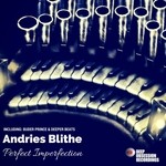 cover: Andries Blithe - Perfect Imperfection