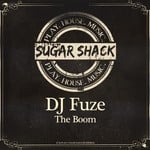 cover: Dj Fuze - The Boom