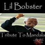 cover: Lil Bobster - Tribute To Mandala