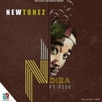 cover: Fiso|Newtonez - Ndiza