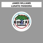 cover: James Williams - Lunatic Pandora