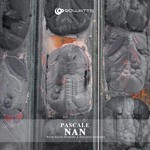 cover: Pascale - Nan