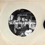 cover: Vintage Culture - Slowing Down