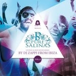 cover: Various - Pure Salinas Vol 8 (Lounge & Deep House Mixed)