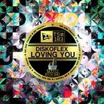 cover: Diskoflex - Loving You