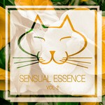 cover: Various - Sensual Essence Vol 2