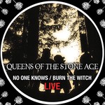 cover: Queens Of The Stone Age - No One Knows/Burn The Witch (Live)