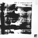 cover: Slv - A Different Space