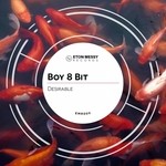 cover: Boy 8 Bit - Desirable