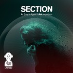 cover: Section - Say It Again/Apollyon