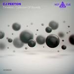 cover: Cj Peeton - Timeless