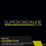 cover: Nae:tek - Calibration