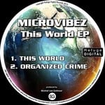 cover: Microvibez - This World