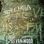 cover: Dj Van Wood - Sdrenga