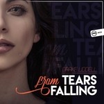 cover: Drake Liddell - Tears From Falling