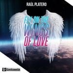 cover: Raul Platero - Fly On The Wings Of Love