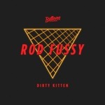 cover: Rod Fussy - Dirty Kitten