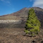 cover: Various - Arboreal Summer Vol III