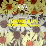 cover: Fernando Olaya - Stereophonik