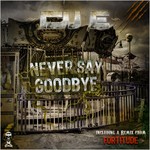 cover: Dj E - Never Say Goodbye