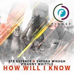 cover: Danny Whittle|Ste Essence & Sheena Mchugh - How Will I Know