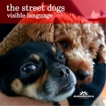 cover: The Street Dogs - Visible Language