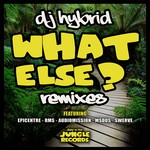 cover: Dj Hybrid - What Else Remixes