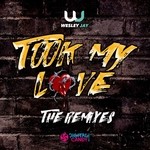 cover: Wesley Jay - Took My Love (Remixes)