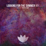 cover: Pacco|Rudy B|Various - AMH Looking For The Summer Compliation + Mix (unmixed tracks)