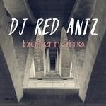 cover: Dj Red Antz - Brother In Crime