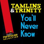 cover: Tamlins|Trinity - You'll Never Know