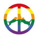 cover: Hype Williams - Rainbow Edition