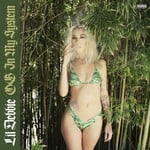 cover: Lil Debbie - OG In My System