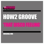 cover: How2 Groove - That Disco Feeling