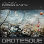 cover: Liam Wilson - Something About You