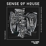 cover: Various - Sense Of House Vol 38 (Technoid House Music Selection 38)